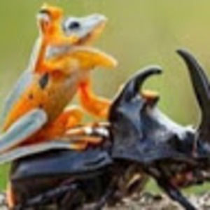 Meet your Posher, Helena